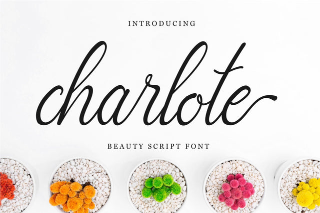 charlote script SVG Chamsae Studio 