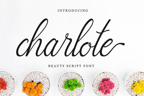 charlote script SVG Chamsae Studio 