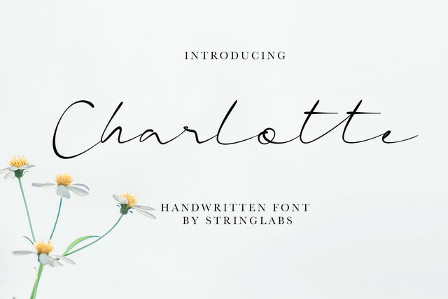 Charlotte - Casual Handwritten Font Font StringLabs 