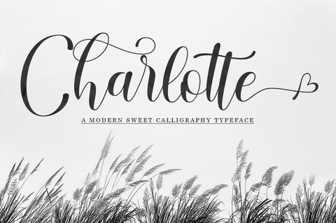 Charlotte Font Black Studio 