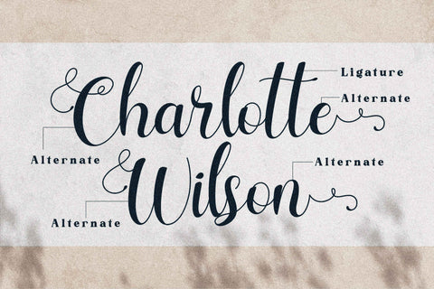 Charlotte Wilson Font Letterena Studios 