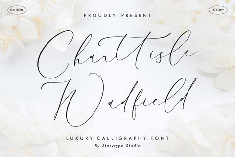 Charttisle Wadfield - Luxury Calligraphy Font Font Storytype Studio 