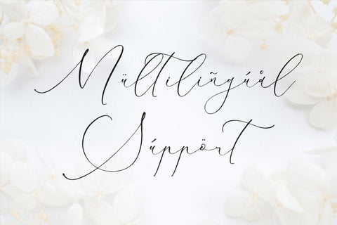 Charttisle Wadfield - Luxury Calligraphy Font Font Storytype Studio 