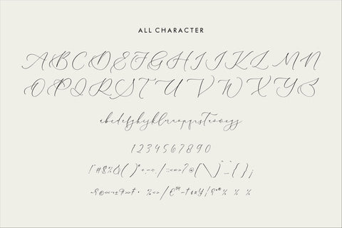 Charttisle Wadfield - Luxury Calligraphy Font Font Storytype Studio 