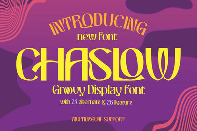 CHASLOW | Groovy Retro Font Font twinletter 