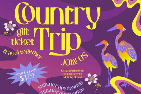 CHASLOW | Groovy Retro Font Font twinletter 