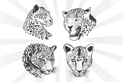 Cheetah Head Collection Svg SVG Johan Ru designs 