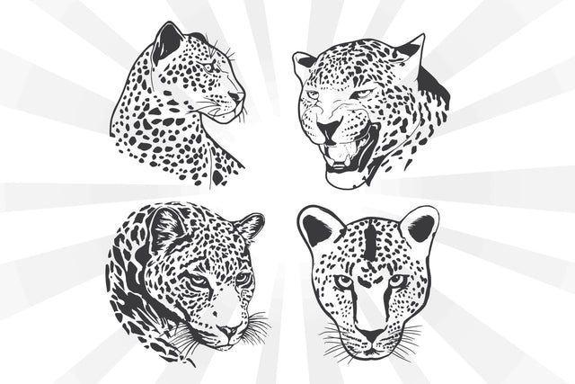 Cheetah Head Collection Svg SVG Johan Ru designs 