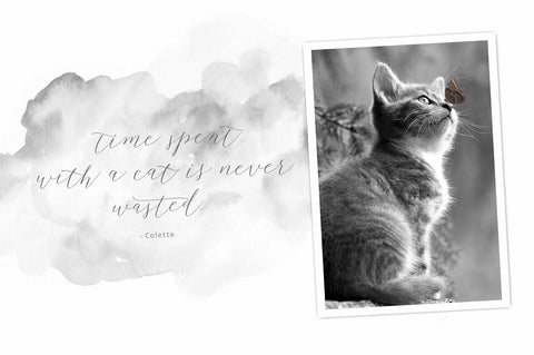 Chellaras Script Font Fadeline Std. 