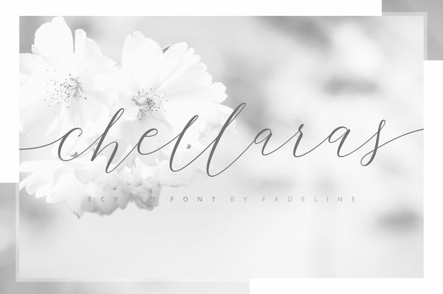 Chellaras Script Font Fadeline Std. 
