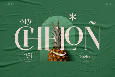 CHELON Typeface Font Storytype Studio 