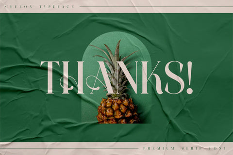 CHELON Typeface Font Storytype Studio 