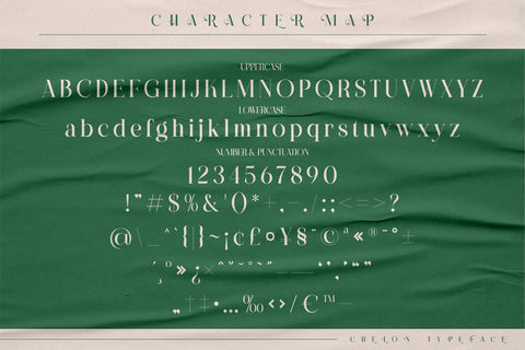 CHELON Typeface Font Storytype Studio 