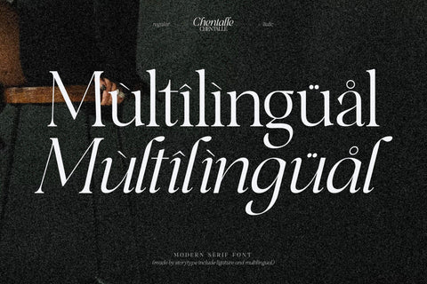 Chentalle Typeface Font Storytype Studio 