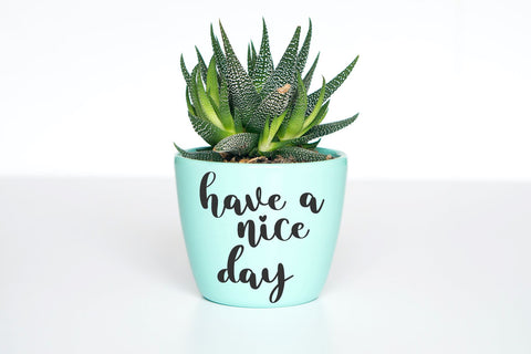 Cherie Font letterbeary 