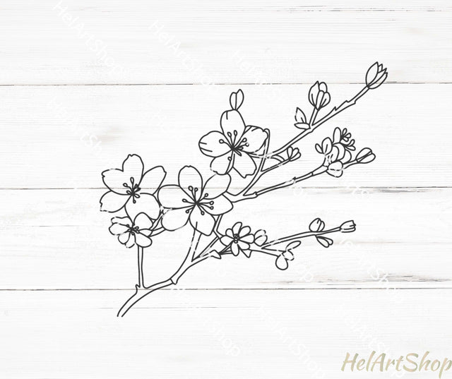 Cherry Blossom SVG, Leaves Border SVG, Monogram Frame SVG SVG _HelArtShop_ 