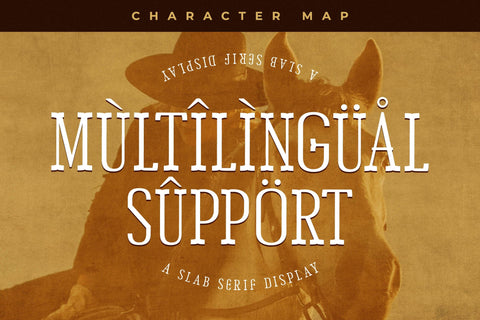 Chery Bomber Typeface Font Storytype Studio 