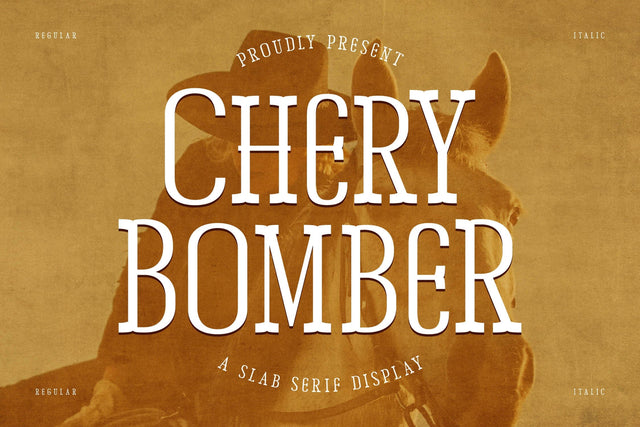 Chery Bomber Typeface Font Storytype Studio 