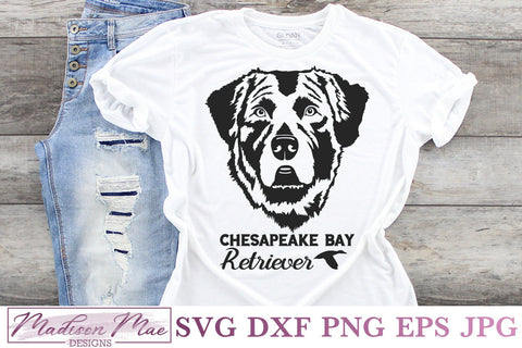 Chesapeake Bay Retriever, Duck Hunting Dog Svg SVG Madison Mae Designs 