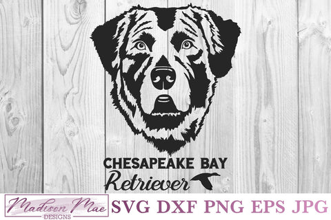 Chesapeake Bay Retriever, Duck Hunting Dog Svg SVG Madison Mae Designs 
