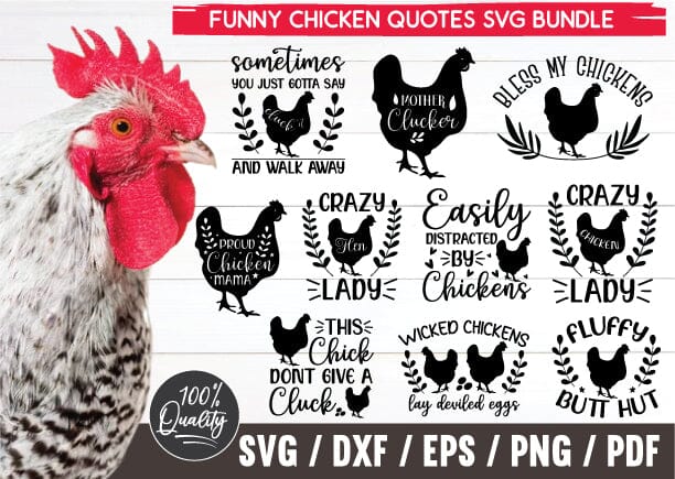 Chicken svg bundle hand drawn, chicken svg, rooster svg, chicken svg funny, crazy chicken lady svg, chicken whisperer svg, chicken clipart SVG designstore 