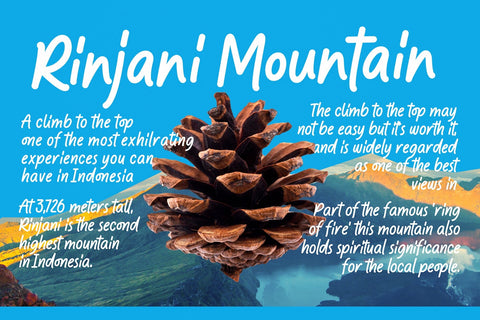 Chillin Notez - Casual Handwritten Font Font Four Lines Std. 