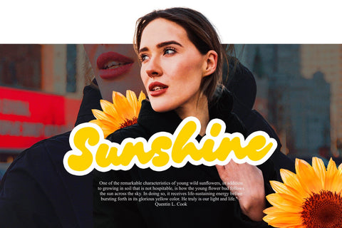 Chillink// Bold Brush Handwritten Font Four Lines Std. 