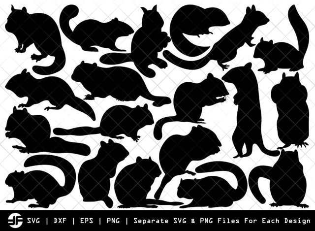 Chipmunk SVG | Animal SVG | Silhouette Bundle | Cut File SVG ETC Craft 