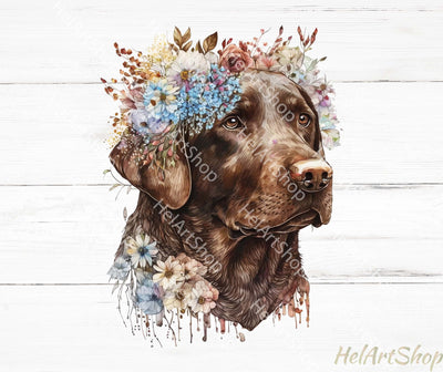Chocolate Labrador Png, Sublimation Png Sublimation _HelArtShop_ 
