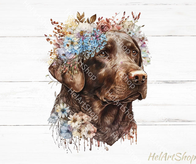 Chocolate Labrador Png, Sublimation Png Sublimation _HelArtShop_ 