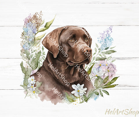 Chocolate Labrador Png, Sublimation Png Sublimation _HelArtShop_ 