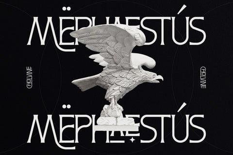 Cholvine Typeface Font Storytype Studio 