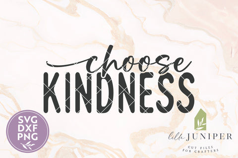Choose Kindness SVG, Teacher Shirt SVG SVG LilleJuniper 