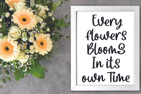 Christmas Breakfast Font Mozarella 