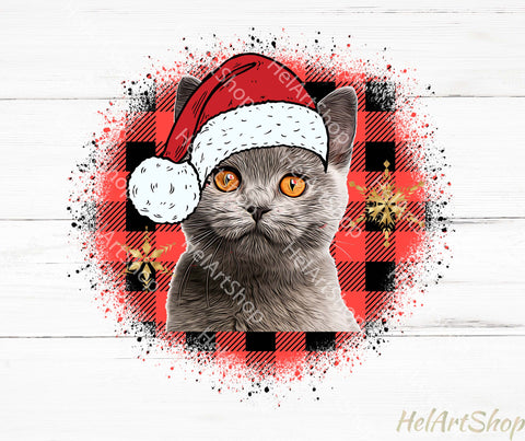 Christmas Cat Png, Sublimation Png, Cat Bandana Png Sublimation _HelArtShop_ 