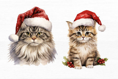 Christmas Cat single Collection Clipart Sublimation Regulrcrative 