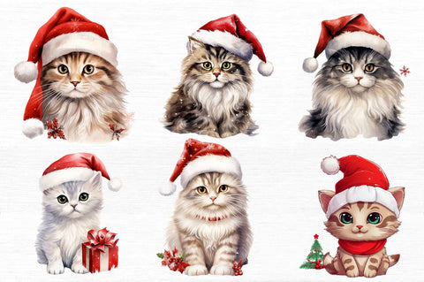 Christmas Cat single Collection Clipart Sublimation Regulrcrative 