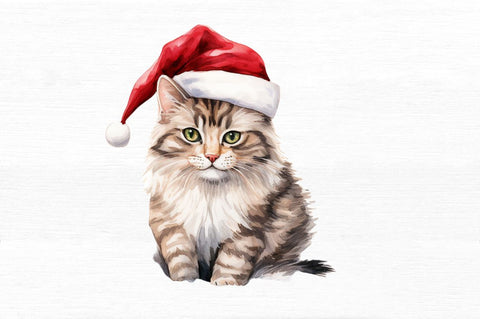 Christmas Cat single Collection Clipart Sublimation Regulrcrative 