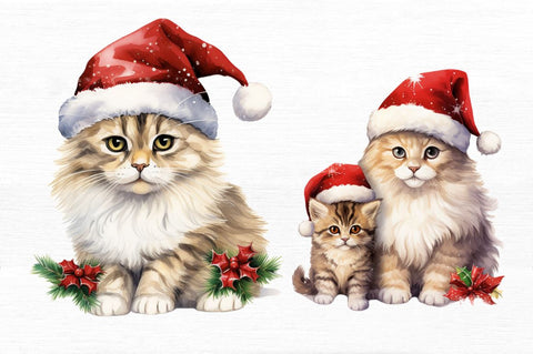 Christmas Cat single Collection Clipart Sublimation Regulrcrative 