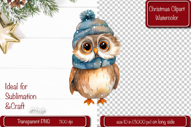 Christmas Clipart Owl Illustration Watercolor Christmas clipart PNG Sublimation Createya Design 