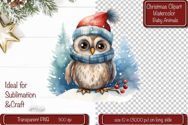 Christmas Clipart Owl Illustration Watercolor Christmas clipart PNG Sublimation Createya Design 