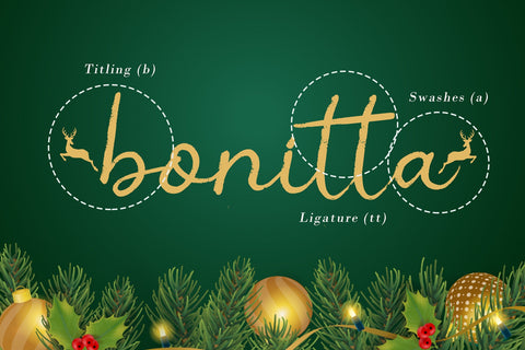 Christmas Ink Font AEN Creative Store 