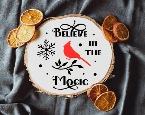 Christmas ornament svg Bundle, Cardinal svg, Circle ornament svg, Merry Christmas svg SVG Pretty Meerkat 