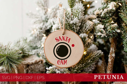 Christmas Ornaments SVG Bundle | Christmas Bundle 16 Designs SVG Petunia Digital Design 