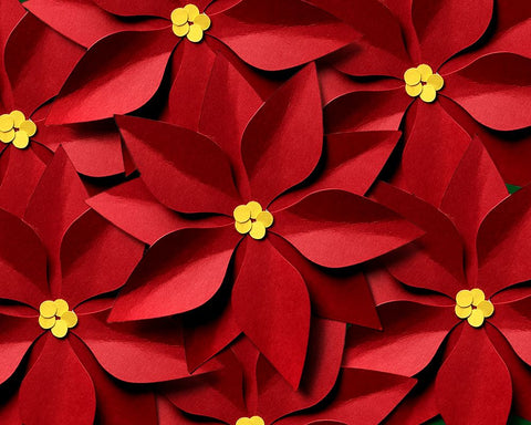 Christmas Poinsettia SVG Designed by Geeks 