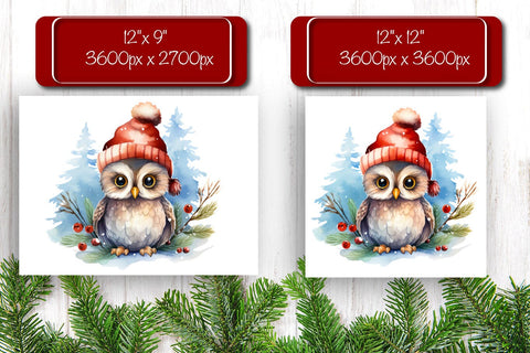 Christmas Puzzle PNG Owl Kids Puzzle Sublimation Watercolor PNG Sublimation Createya Design 