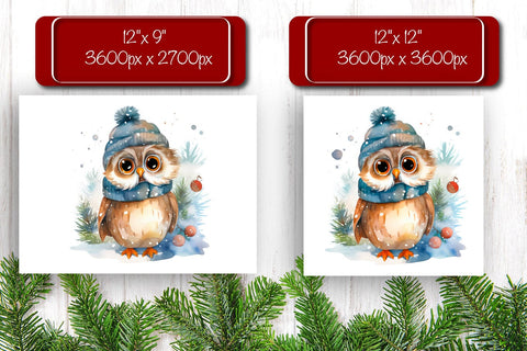 Christmas Puzzle PNG Owl Kids Puzzle Sublimation Watercolor PNG Sublimation Createya Design 