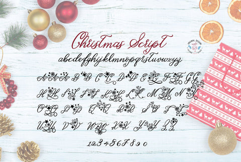 Christmas Script and Celebrations Dingbat Font Duo Font Graphic House Design 