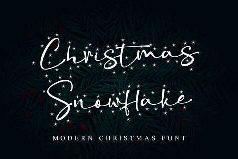 Christmas Snowflake Font Stefani Letter 