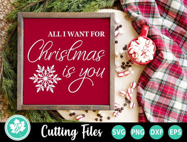Christmas SVG | All I Want for Christmas is You SVG TrueNorthImagesCA 